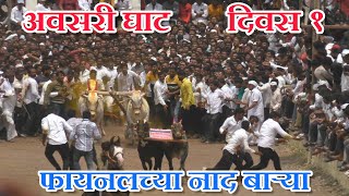 दिवस १ | अवसरी फायनलच्या भन्नाट बाऱ्या | bailgada sharyat live | avsari bailgada   sharyat | #live