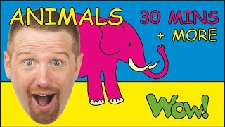 Safari Animals + More | Animal Songs for Children by Steve and Maggie | Collecti