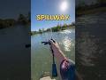 How to Catch Fish at Spillways #fishing