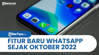 Fitur Terbaru WhatsApp: Blokir Tangkapan dan Rekaman Layar dalam Chat Pengguna Android maupun iOS