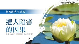 龍德嚴淨仁波切：遭人陷害的因果 Lung Du Yong Jing Rinpoche : The karma of being framed up