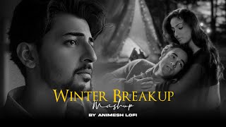 Winter Breakup Mashup | Dhadkan x Ik Tara | Broken Chillout | Animesh Lofi