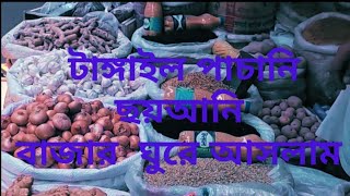 টাঙ্গাইল পাচানি ছয়আনি বাজার  ঘুরে আসলাম tangail pachani choiani bazar full videos