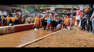 Kambala Start - Kakyapadavu Sathya Darma Kambala - 2024