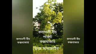 কক্সবাজার কলাতলী বিচ ও আশপাশের সৌন্দর্যের লীলাভূমি অনেক উপর থেকে নিজ হাতে ধারন করা ভিডিও চিত্র