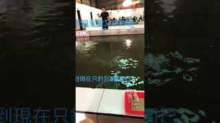 蝦子都不吃餌，怎回事