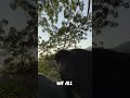 this wild monkey joins him for sunrise every day