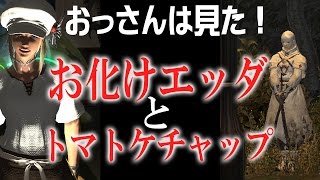 【FF14】エッダ幽霊発見！と、トマトケチャップｗ(おっさんの雑談)