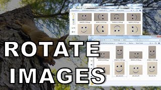 Automatically rotate images into horizontal orientation.