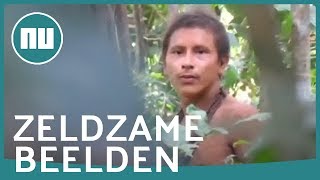 Zeldzame beelden tonen bedreigde stam in Amazone gebied | NU.nl