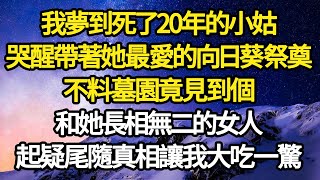 我夢到死了20年的小姑，哭醒帶著她最愛的向日葵祭奠，不料墓園竟見到個，和她長相無二的女人，起疑尾隨真相讓我大吃一驚#故事#情感#情感故事#人生#人生經驗#人生故事#生活哲學#為人哲學