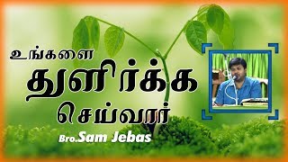 தேவ சமுகம் உன்னை துளிர்க்க செய்யும் | Bro. Sam Jebas | Tamil Christian Message