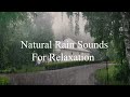 Let's enjoy these rain and thunder sounds for deep sleep, studying, and relaxation.