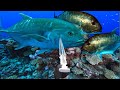 CATCH GIANT TREVALLY-Top 28 Shoot