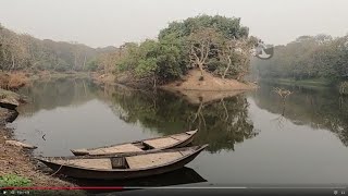 Raiganj Wildlife Sanctuary I Kulik Bird Sanctuary