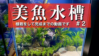 美魚水槽　完成編　アピスト水槽立ち上げ動画の完成までをお送りいたします😆　＃アピストグラマ　＃アピスト水槽　＃水槽立ち上げ　＃水草　＃熱帯魚　＃30cmキューブ水槽