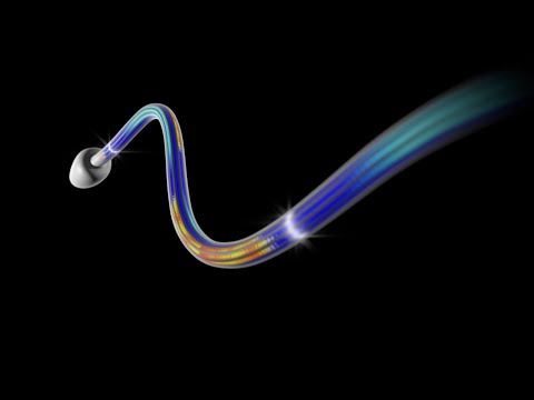 Which organelle helps in the formation of cilia and flagella?