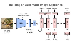 Building an Automatic Image Captioner!