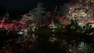 京都紅葉2024年11月30日清水寺〜高台寺