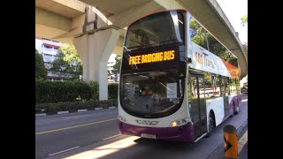 [Exclusive] SBST NEL Bus Bridging Service [SG5554Z]: NE12 Serangoon