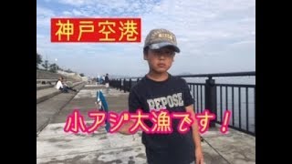 『神戸空港』サビキ釣り小アジ絶好調！ fishingmax神戸ハーバー店