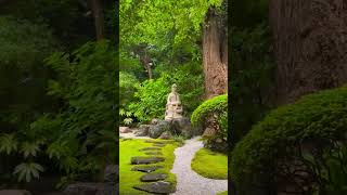 Houkokuji Temple - Kamakura 報国寺(竹寺) #kamakura #Houkukuji #japantemple #japantrip