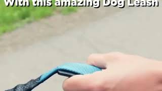 Bungee Hands-Free Dog Leash, No Need To Worry About Hurting Your Dog’s Neck.