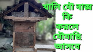 কি করলে বাক্সে মৌমাছি নিজে নিজে চলে আসবে | Swarm Trap