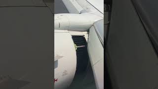 【大迫力】B737のエンジン逆噴射映像！超至近距離から撮影しました。