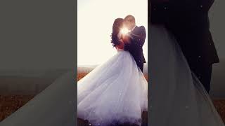 Best Romantic Love Songs - Love Songs 80s 90s Playlist English | Old Love Songs 80's 90's NEW