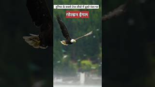 दुनिया के सबसे तेज जीव कौनसे है? | fastest animal |