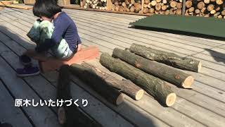 八ヶ岳　移住　暮らし　八ヶ岳へ移住する前に確認しておきたい5つのこと