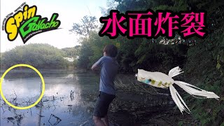 【スピンガバチョ】ほっとくだけで釣れちゃうフロッグ！