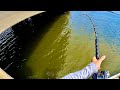 SHADY SPOT - Low Bridge For Cooler Sheepshead Fishing