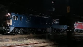 カシオペア紀行（EF64+EF81）新津 20241201