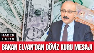 Bakan Elvan'dan döviz kuru mesajı