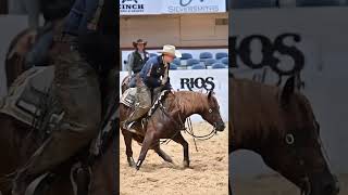 Cool Guitar 2023 NCHA Open Futurity