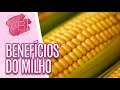 Benefícios e propriedades nutricionais do milho - Você Bonita (15/08/19)