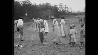 /W 1920 PAN Black women + children hoeing field / Southern US / documentary