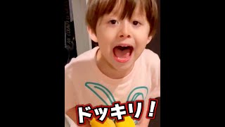 保育園から帰宅早々…父上のドッキリ😱😱😱【IORIKUN TV funny video TikTok 😂😂😂2022】 #TikTok #Shorts