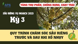 APN - QUY TRÌNH CHĂM SÓC SẦU RIÊNG TRƯỚC VÀ SAU XỔ NHỤY | SẦU RIÊNG VỤ NGHỊCH KỲ 3