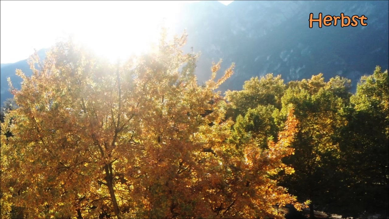 Entspannungsmusik Zum Einschlafen, Meditationsmusik, Zen Musik ...