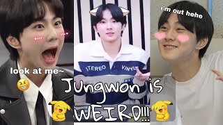 Believe me, JUNGWON IS WEIRD!!![but you will NEVER hate him](ft. Aegyo battle, tearing Wonie) 엔하- 정원