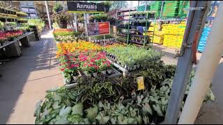 Altman Plants - Advertised Item Display