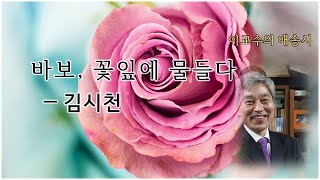 바보, 꽃잎에 물들다―김시천