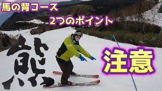 【志賀高原熊の湯スキー場】2020.12.12/パトロール隊長が伝える二つの馬の背コース注意点