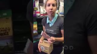 Savage Cat Food® at Bernal Beast in San Francisco