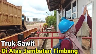 mobil truk di timbangan pabrik kelapa sawit