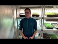 How to Sell Microgreens