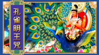 孔雀明王咒 【 唱誦：影遊梵唱 】淨化磁場 極為強大  Mahamayuri Mantra Buddhist music 불교 나모 아미타 바 仏教なも阿弥陀